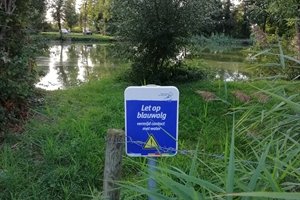 Kennisdocument Stedelijke Waterkwaliteit, Klimaat En Adaptatie ...