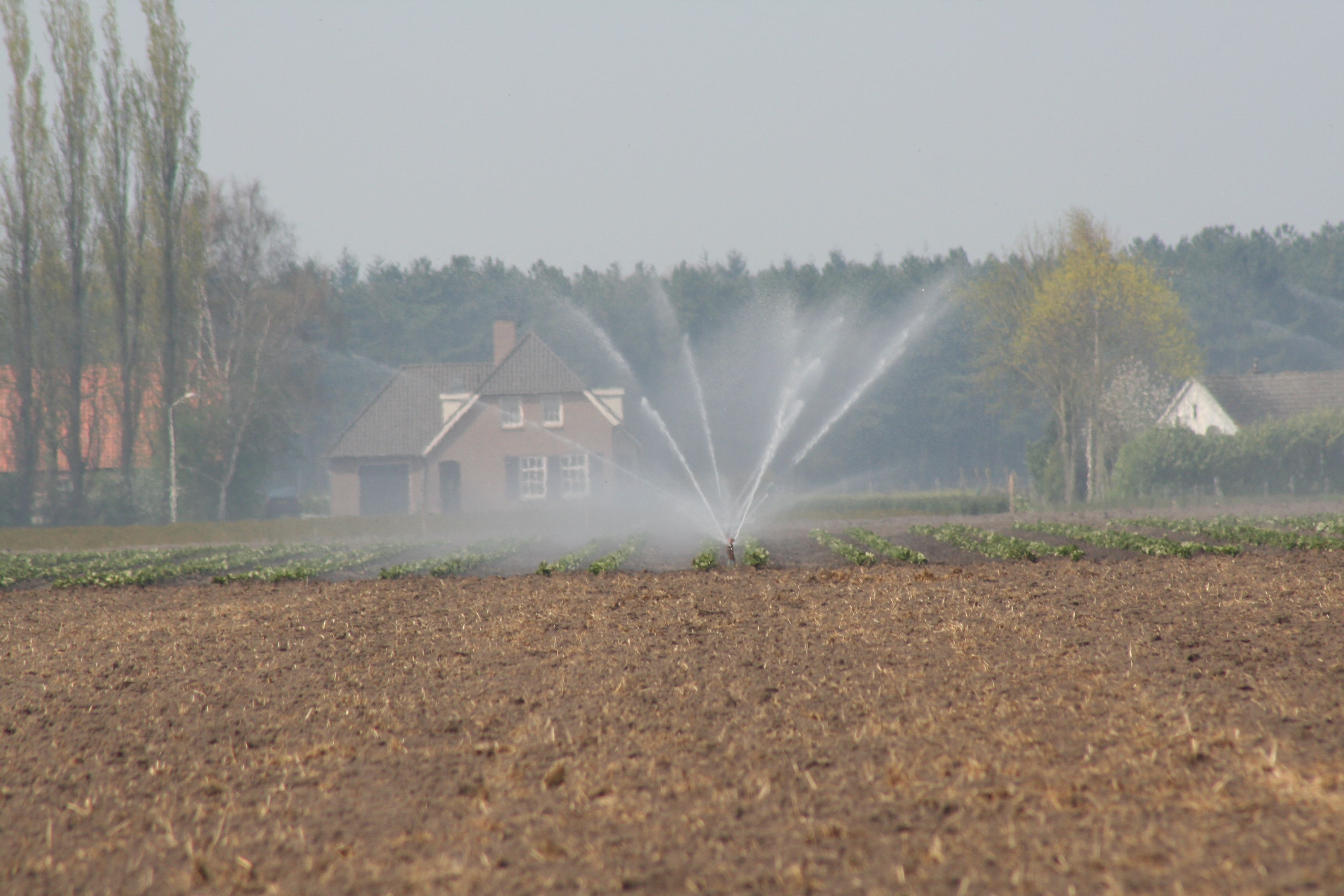 Klimaatstresstest Gemeente Reusel - De Mierden - Klimaatadaptatie ...