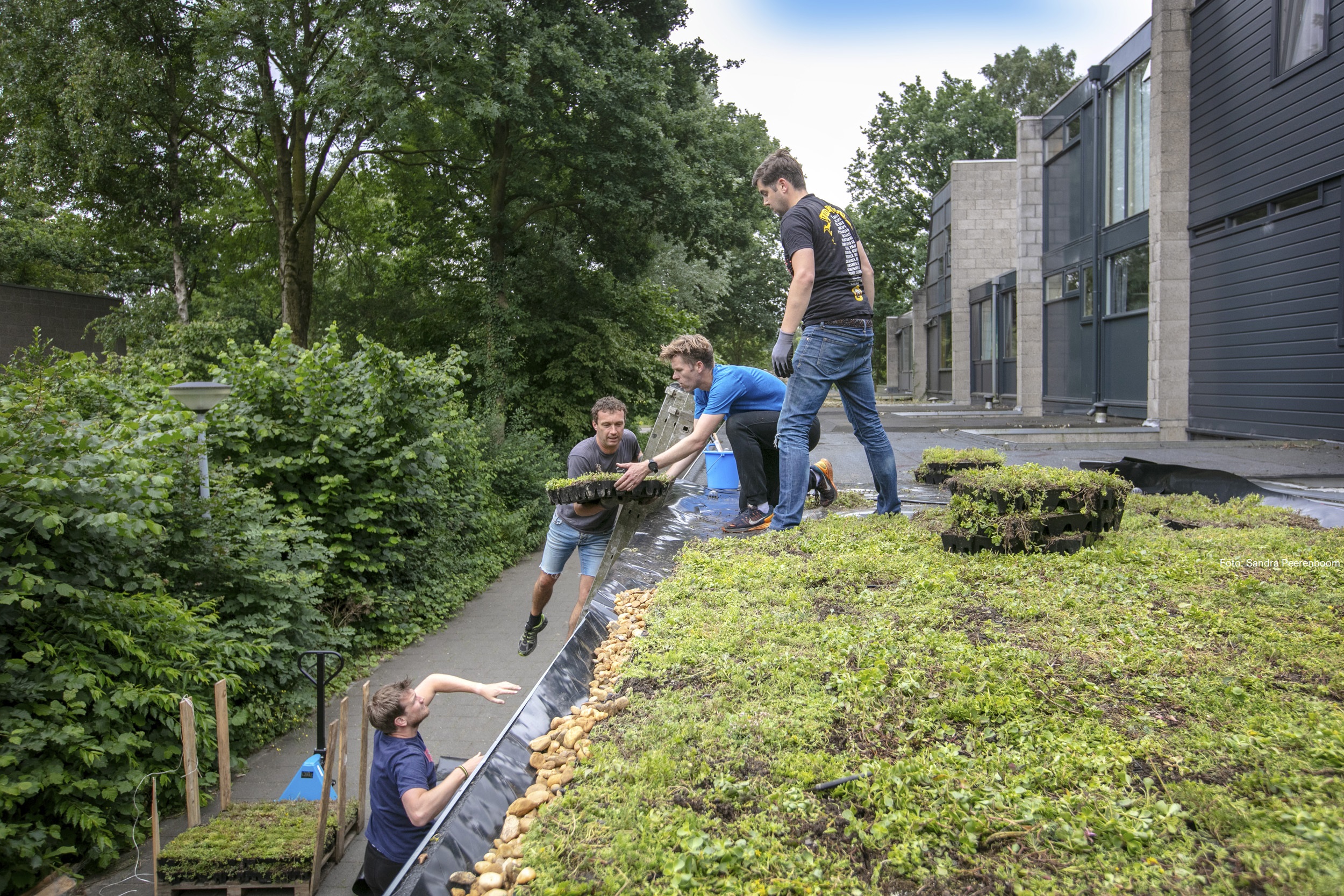 Home - Klimaatadaptatie Provincie Noord-Brabant