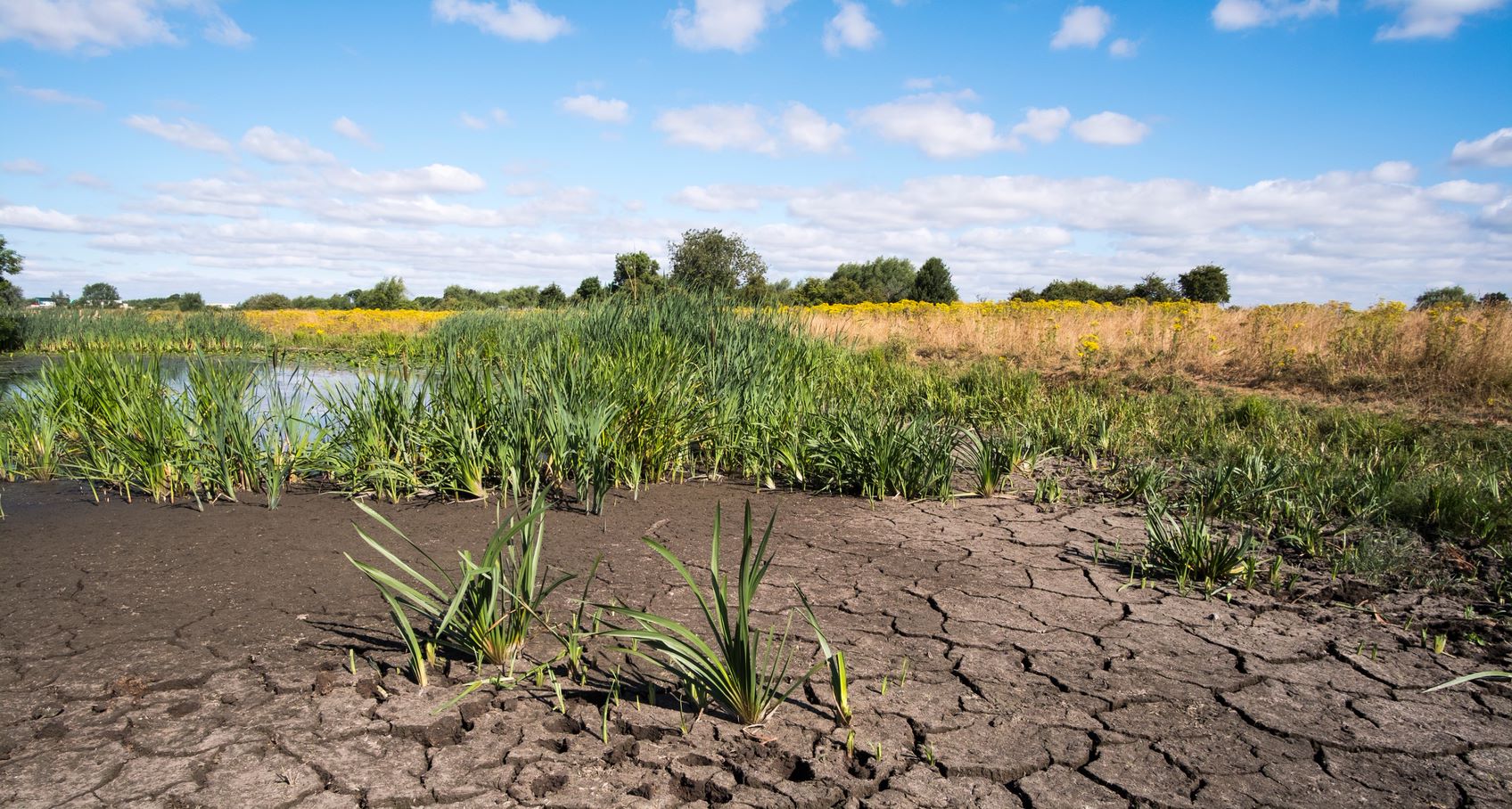 Aankondiging Subsidie Klimaatadaptatie-projecten Voor Gemeenten ...