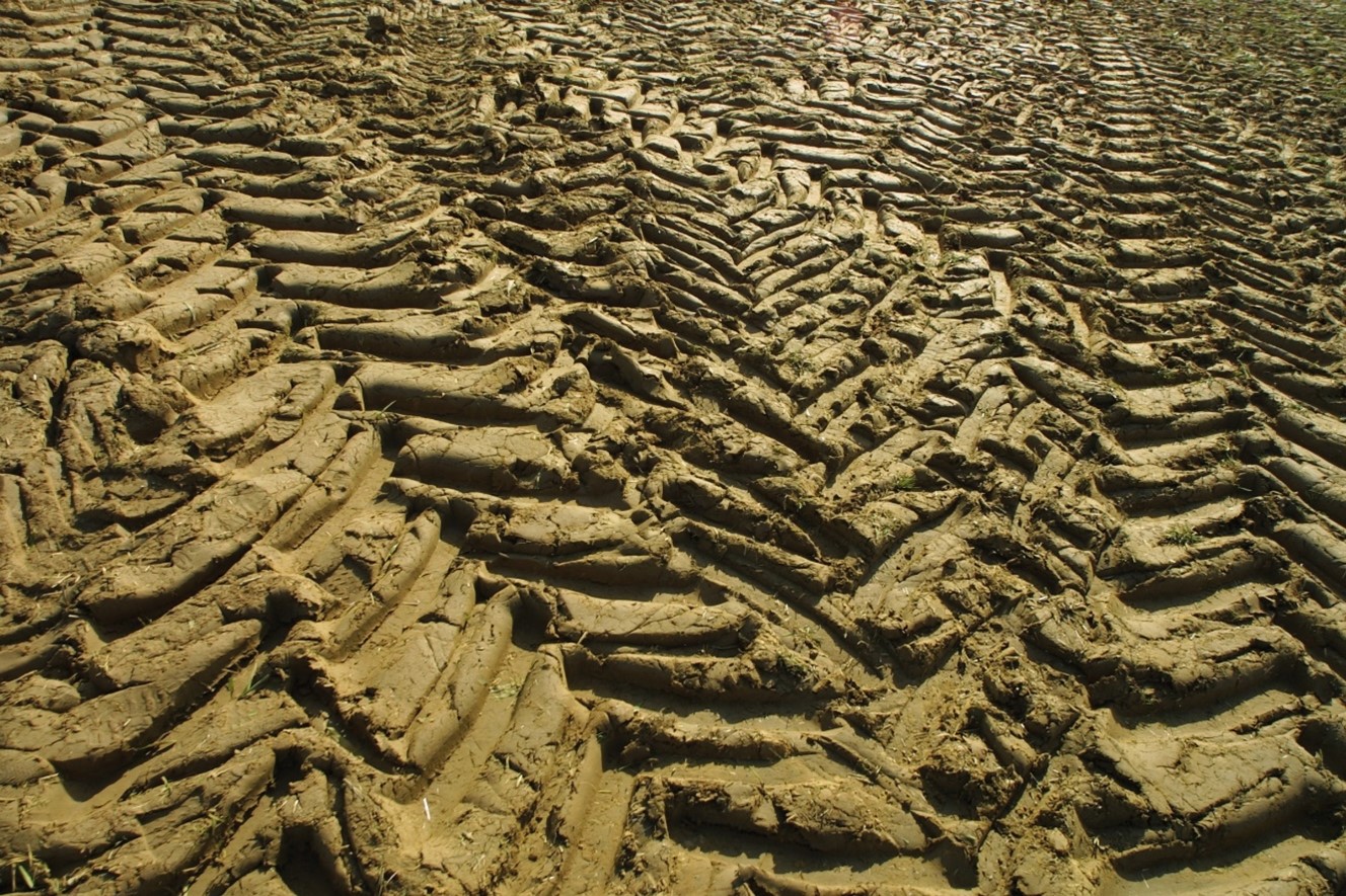 Natte Landbouw In Noord-Brabant (2021) - Klimaatadaptatie Provincie ...